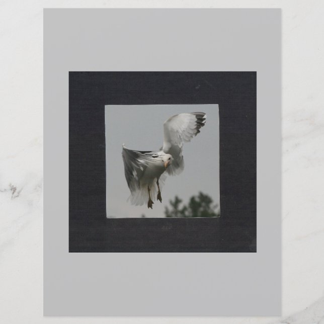 Black Square on Grey Photo Frame (Front)