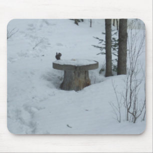 Black Squirrel Having Breafast Mouse Pad