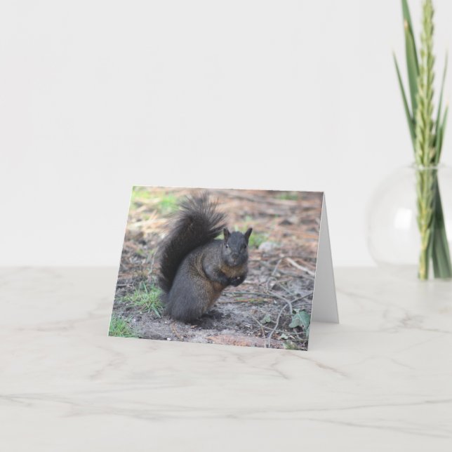 Black Squirrel Note Card (Front)