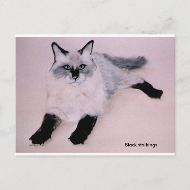 Black Stalkings                               ... Postcard (Front)