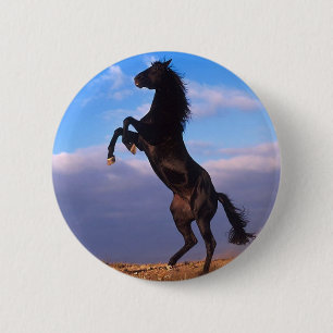 Black Stallion 6 Cm Round Badge