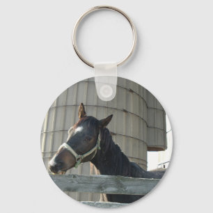 Black Stallion Beauty Key Ring