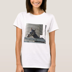 Black Stallion Beauty T-Shirt