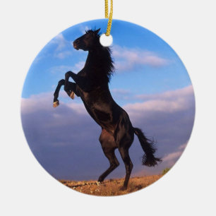 Black Stallion Ceramic Tree Decoration