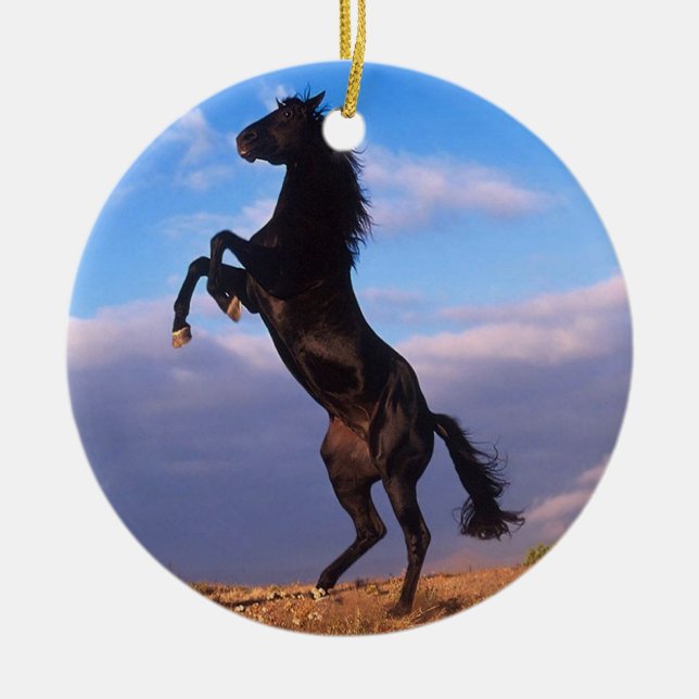 Black Stallion Ceramic Tree Decoration (Front)