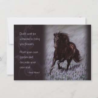 Black Stallion in a Field of Dreams