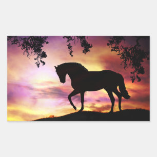 Black Stallion in the Sunset Stickers