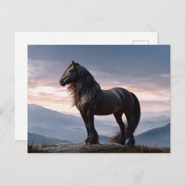 Black Stallion Wild Horse Mountain Top Postcard (Front/Back)