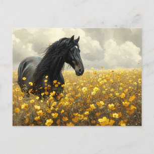 Black Stallion with Yellow Wildflowers Postcard