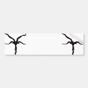 Black Stars bumper sticker