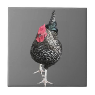 Black Strutting Cockerel No 3 Ceramic Tile