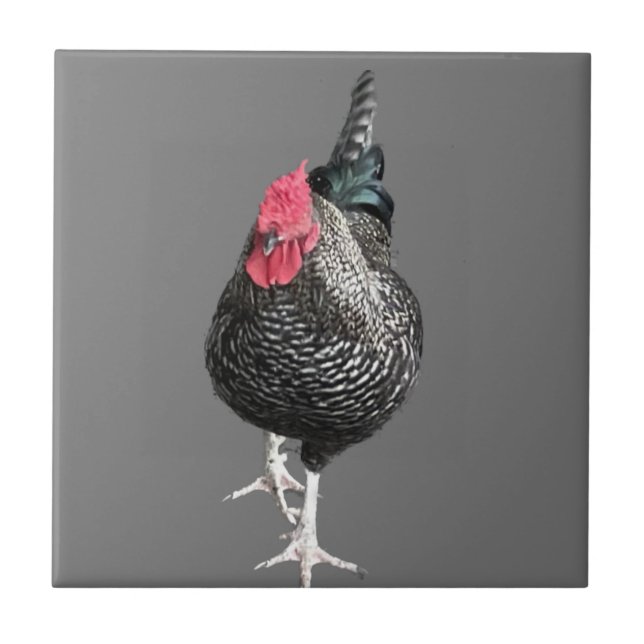 Black Strutting Cockerel No 3  Ceramic Tile (Front)