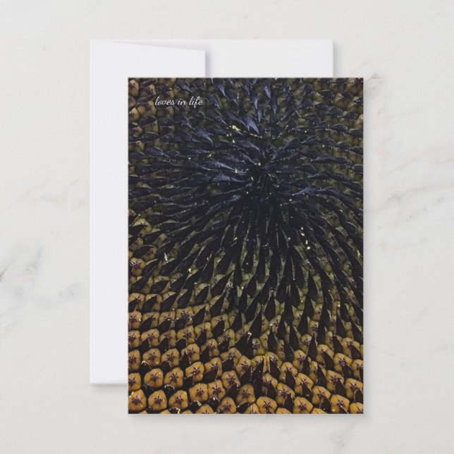 Black Sunflower Seeds Card (Front)