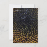 Black Sunflower Seeds