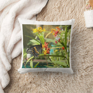 Black Swallow Butterfly #2 Cushion