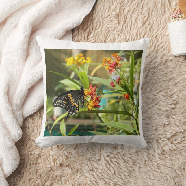 Black Swallow Butterfly #2 Cushion (Blanket)