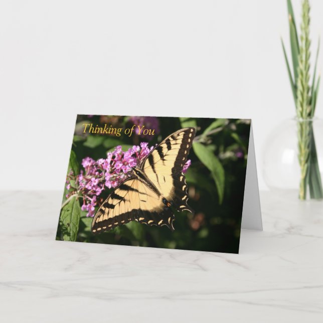 Black Swallowtail Butterfly Card (Front)