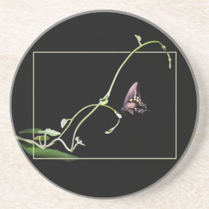 Black Swallowtail Butterfly Coaster