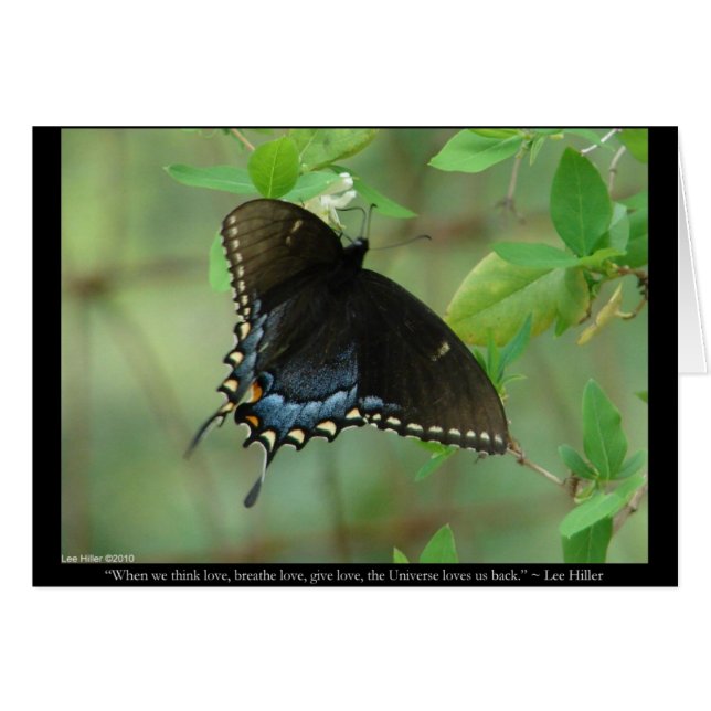 Black Swallowtail Butterfly - Love Gifts & Apparel (Front Horizontal)