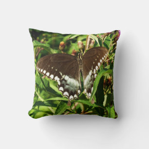Black Swallowtail Butterfly Nature Photography Cushion