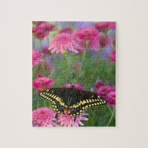 Black Swallowtail Butterfly on Dark Pink Flower Jigsaw Puzzle