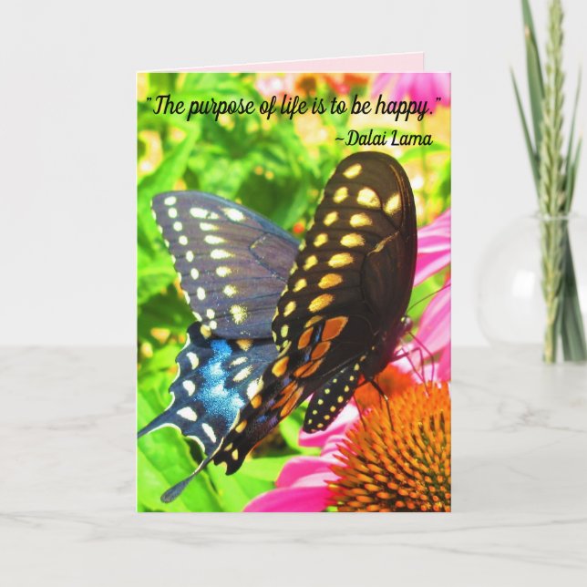 Black Swallowtail Butterfly Pink Echinacea Flowers Card (Front)