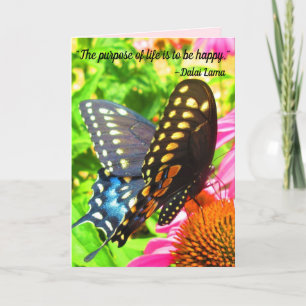 Black Swallowtail Butterfly Pink Echinacea Flowers Card