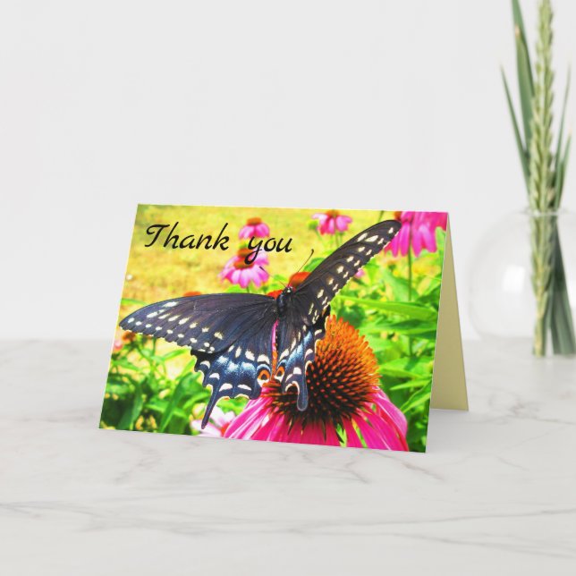 Black Swallowtail Butterfly Pink Echinacea Flowers Thank You Card (Front)