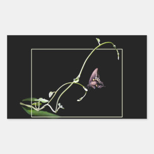 Black swallowtail butterfly rectangular sticker