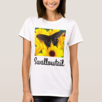 Black Swallowtail butterfly