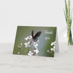 Black swallowtail butterfly thank you card