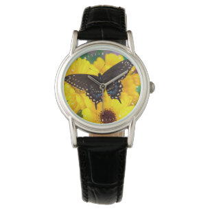 Black Swallowtail butterfly Watch
