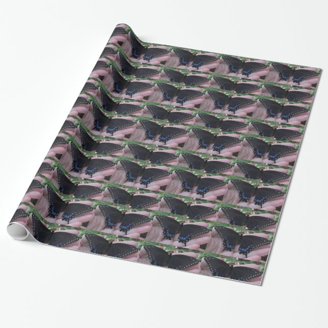 Black Swallowtail Butterfly-wrapping paper (Unrolled)