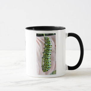 Black Swallowtail Caterpillar/Butterfly-mug Mug