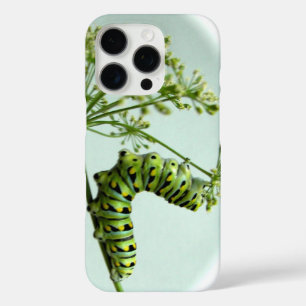 Black Swallowtail Caterpillar eating parsley iPhone 16 Pro Case