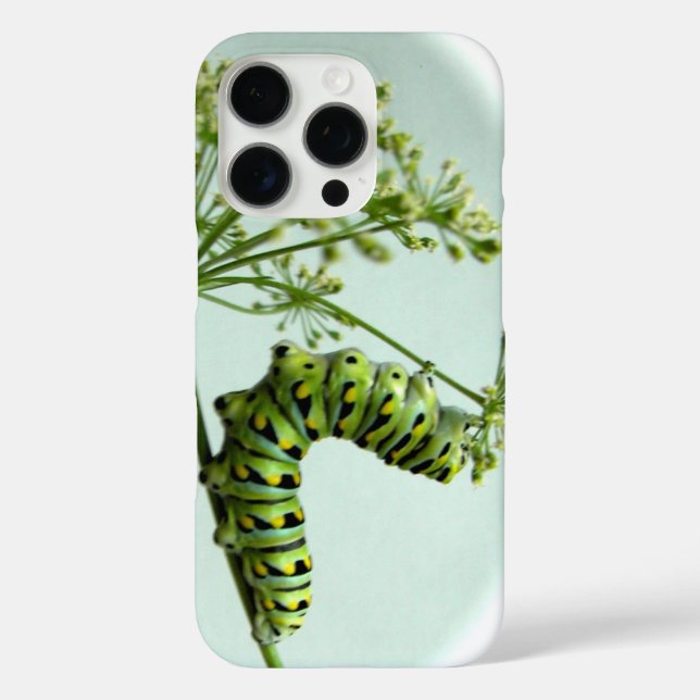 Black Swallowtail Caterpillar eating parsley Case-Mate iPhone Case (Back)