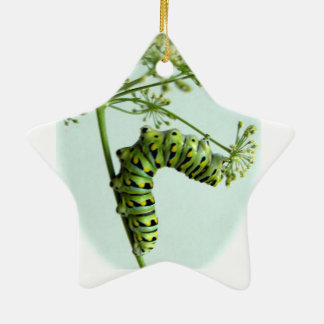 Black Swallowtail Caterpillar eating parsley Ceramic Tree Decoration