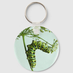 Black Swallowtail Caterpillar eating parsley Key Ring