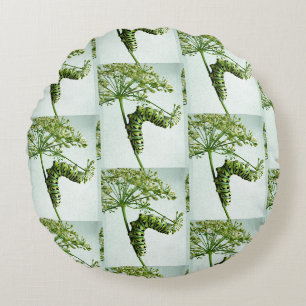 Black Swallowtail Caterpillar eating parsley Round Cushion