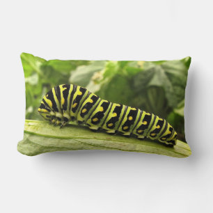 Black Swallowtail Caterpillar Lumbar Cushion