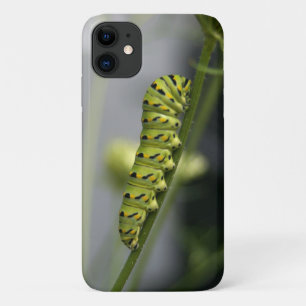 Black swallowtail caterpillar (parsleyworm) on Dil iPhone 11 Case