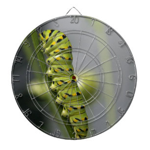 Black swallowtail caterpillar (parsleyworm) on Dil Dartboard