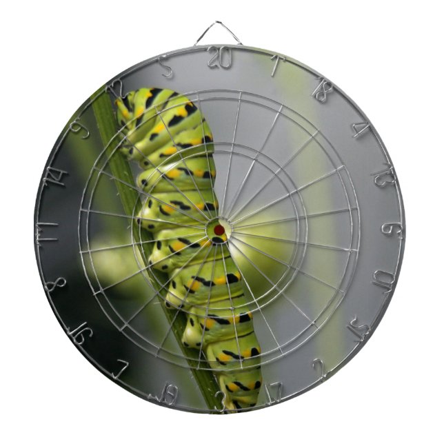 Black swallowtail caterpillar (parsleyworm) on Dil Dartboard (Front)