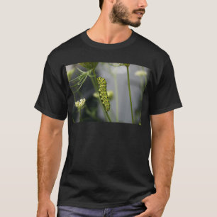 Black swallowtail caterpillar (parsleyworm) on Dil T-Shirt