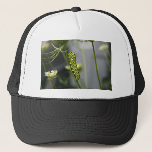 Black swallowtail caterpillar (parsleyworm) on Dil Trucker Hat