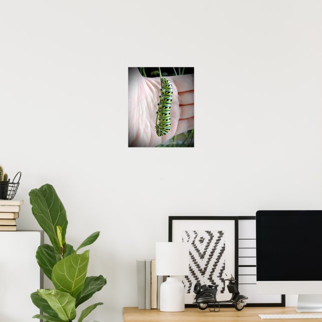 Black Swallowtail Caterpillar  Poster (Home Office)