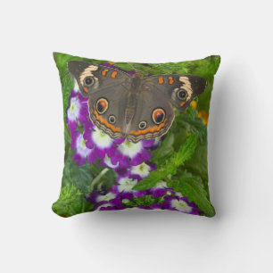 Black Swallowtail Cushion