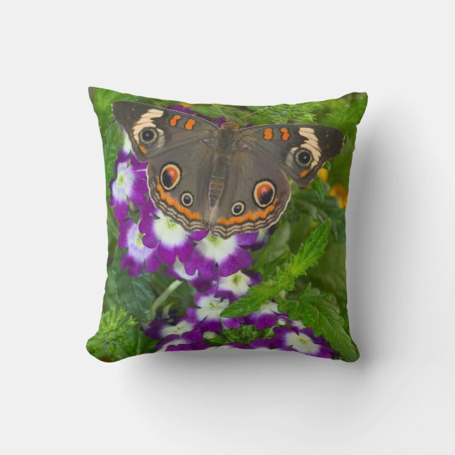 Black Swallowtail Cushion (Front)