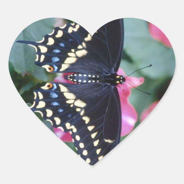 Black Swallowtail Heart Sticker (Front)