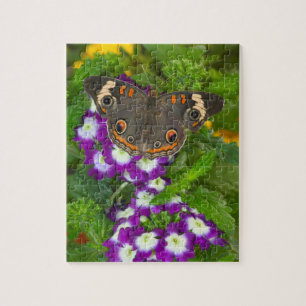 Black Swallowtail Jigsaw Puzzle